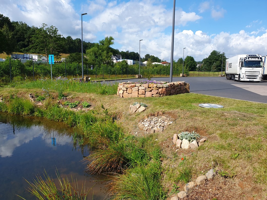 Sandstone wall + plants around the pond